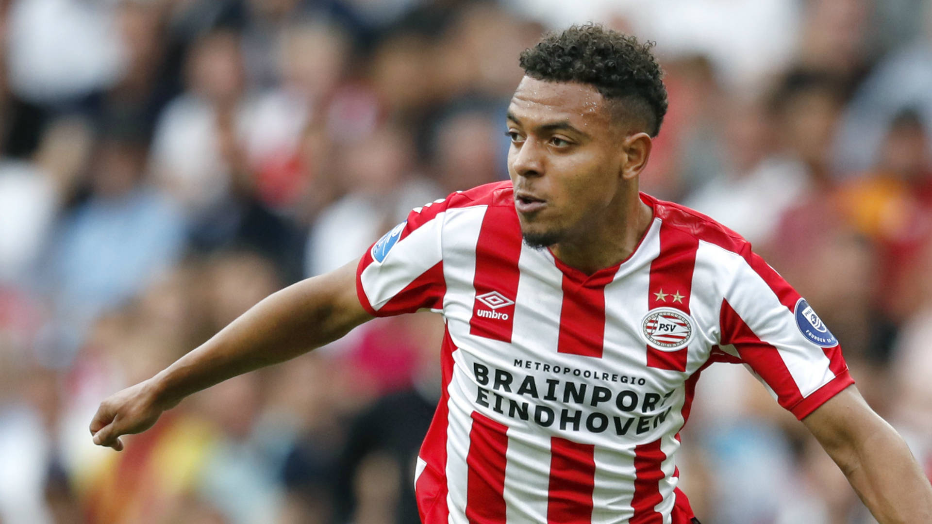 南安普顿队的精英阵容，备受球迷称赞和赞誉的简单介绍