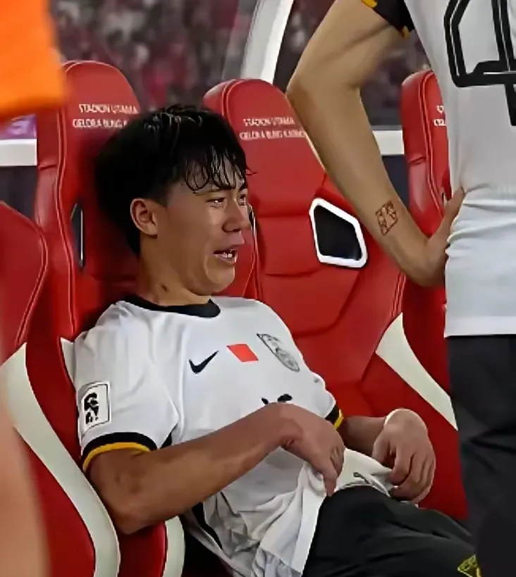 关于德国队完胜印尼队,郑思维惊艳四座的信息 关于德国队完胜印尼队,郑思维惊艳四座的信息