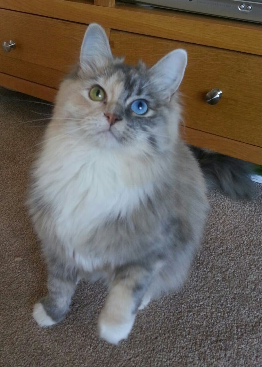 红袜 vs 红军,当美国资本巅峰对决安菲尔德,为何非卖品加维成了胜负手?