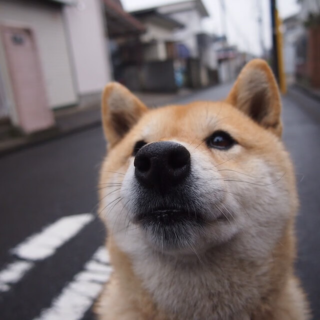 东决关键战之夜,贝恩如暗夜狙击手,用三分雨击穿所有质疑