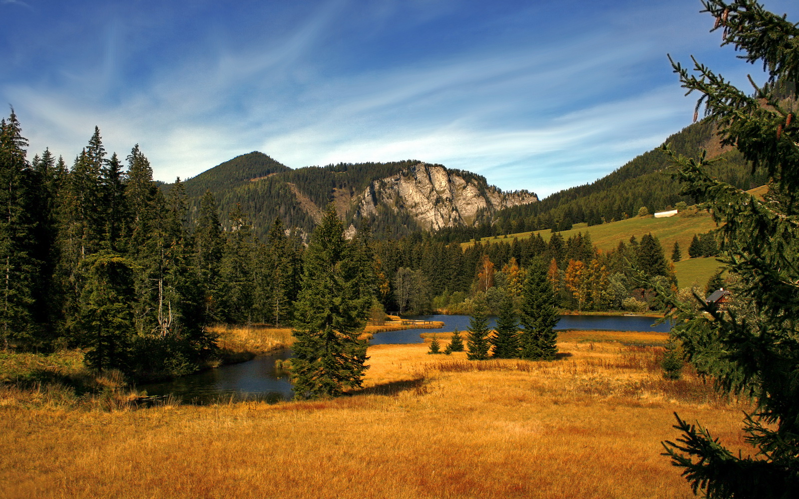 极速轰鸣与读秒绝杀,当F1揭幕战的轮胎焦香,遇见哈登终场前的致命三分
