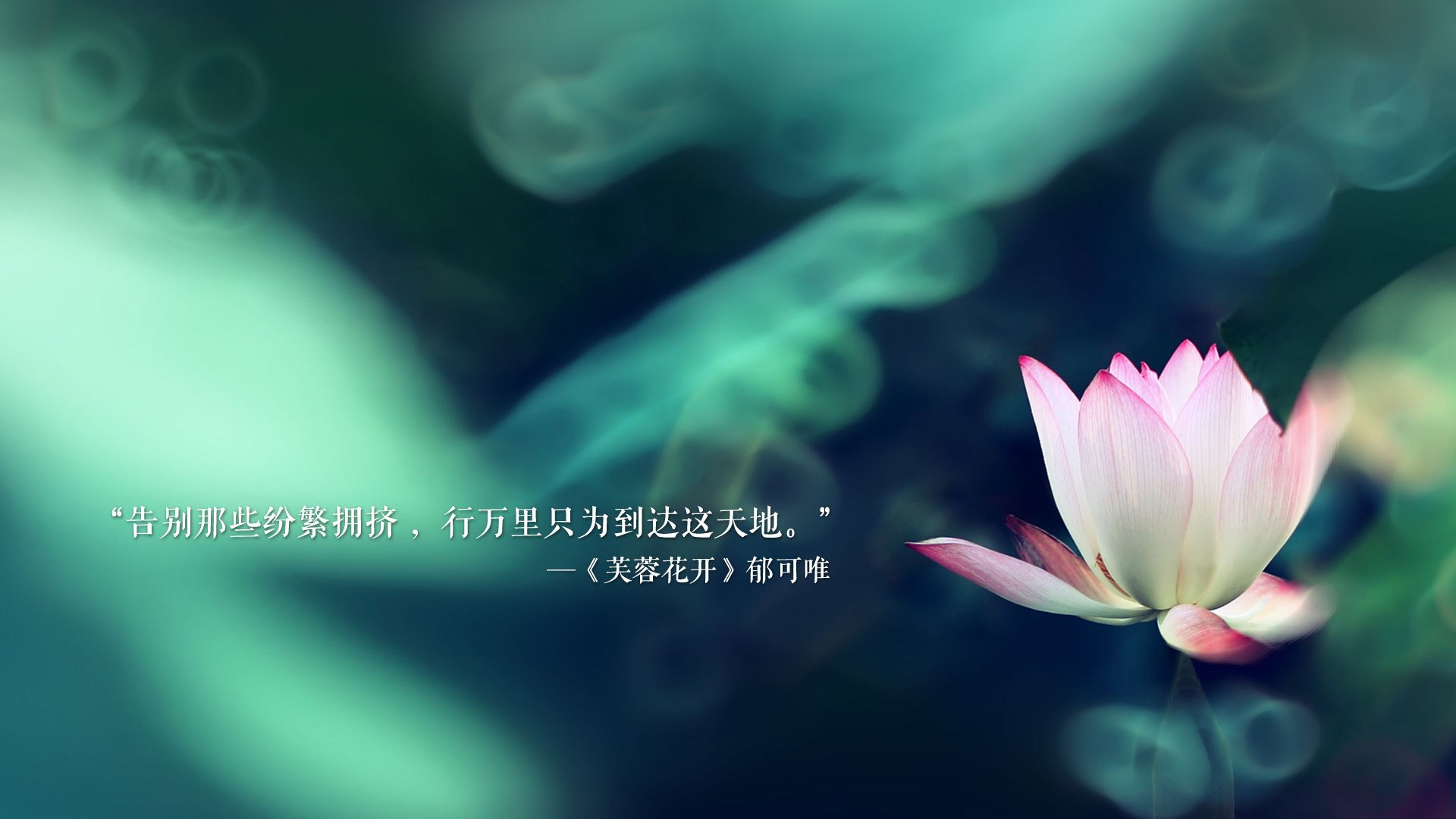 唯一之师,2026世界杯G组生死战,阿诺德的节奏革命与英格兰的宿命突围