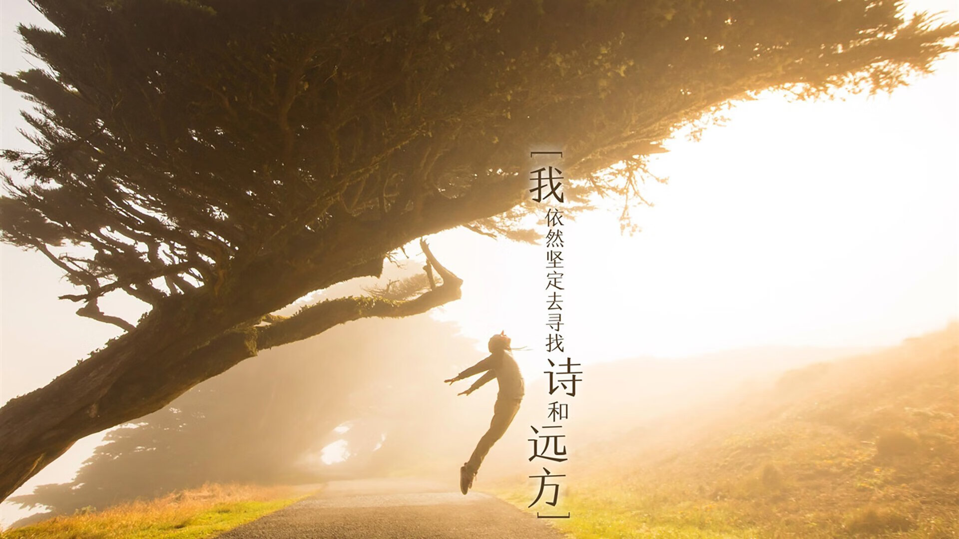 致命一击穿越百年恩怨,2026世界杯G组,德容绝杀西班牙,波兰铁骑踏碎斗牛士王朝